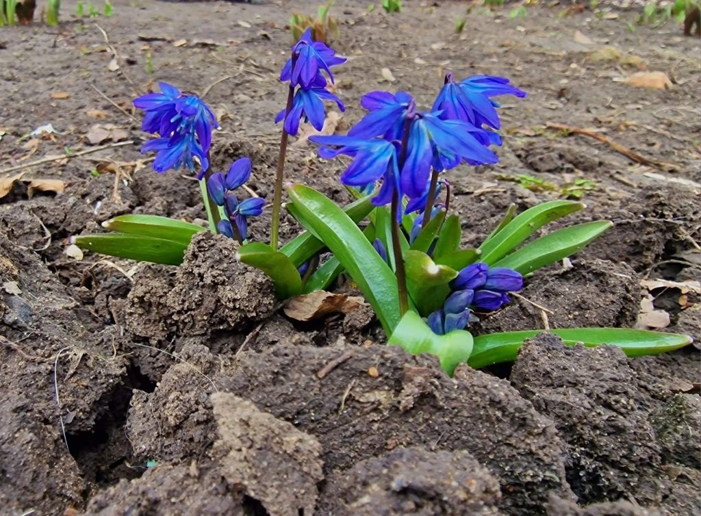    Фото: Е. Богачева. Галина Ященко