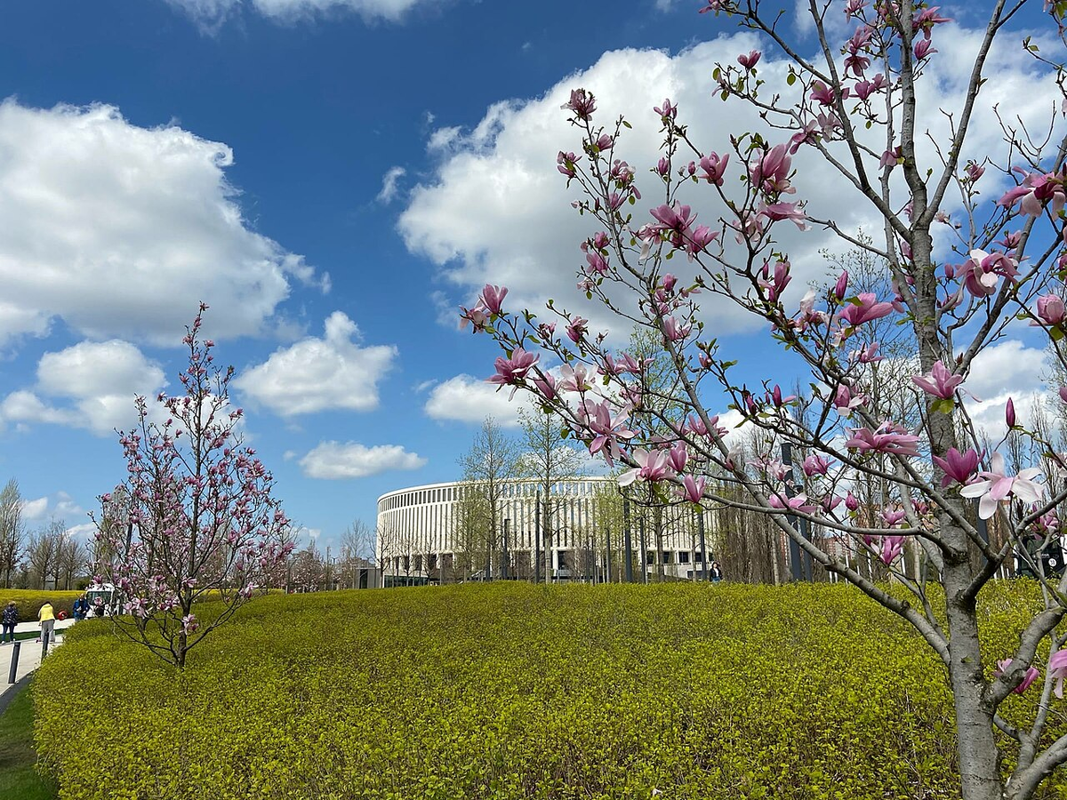 Источник: wikipedia.org Автор: Victor733 CC BY-SA 4.0