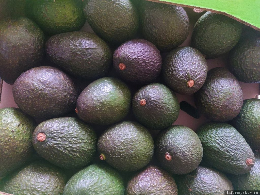 Фото: пресс-служба Северо-Западного межрегионального управления Россельхознадзора