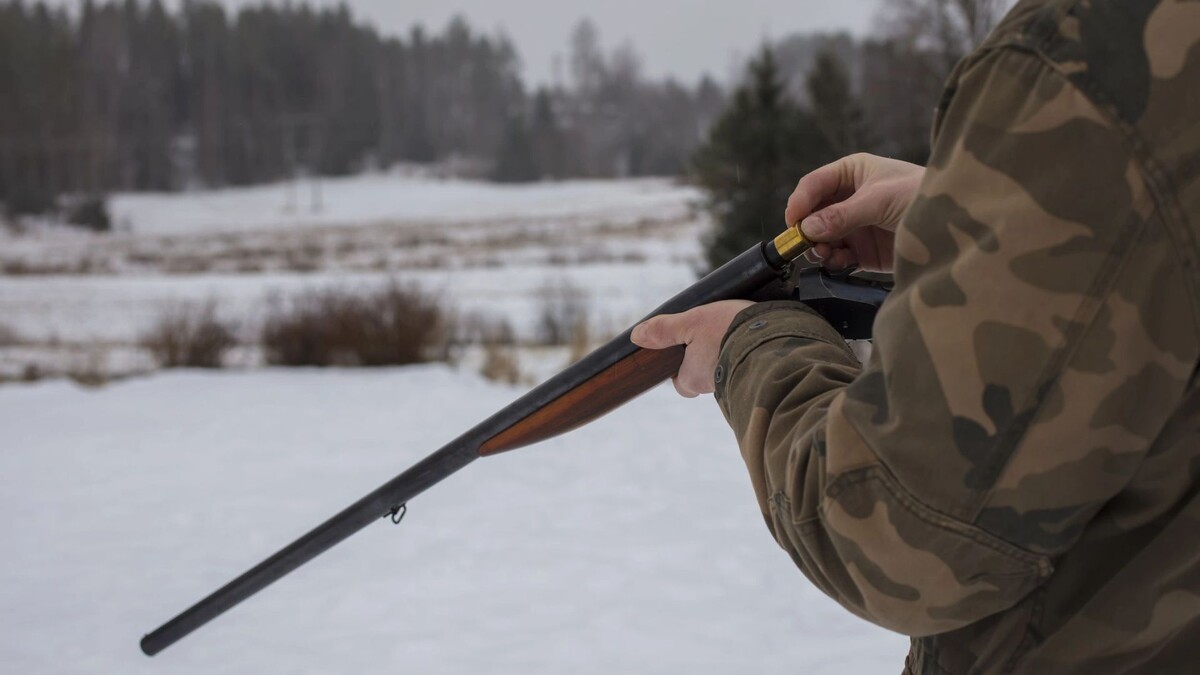    Фото: Jarhe Photography / Shutterstock / Fotodom