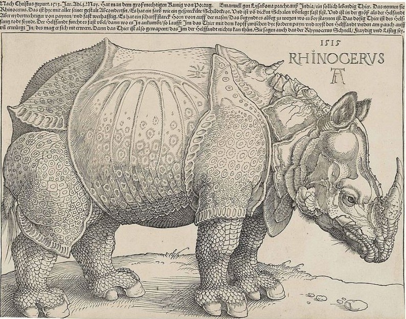 1515 De neushoorn van Albrecht Durer