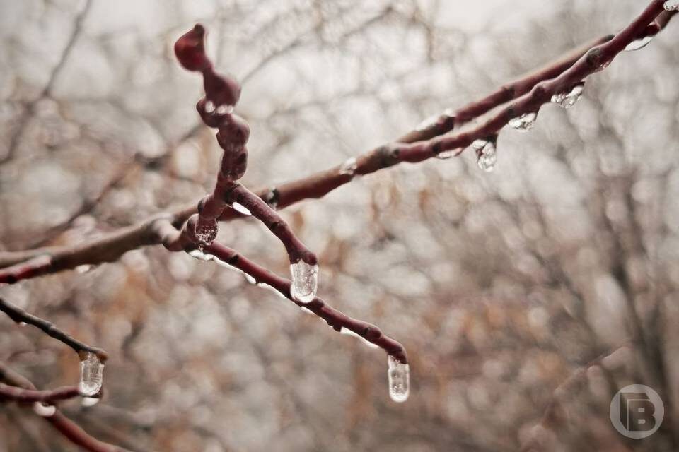    Фото: "Городские вести"