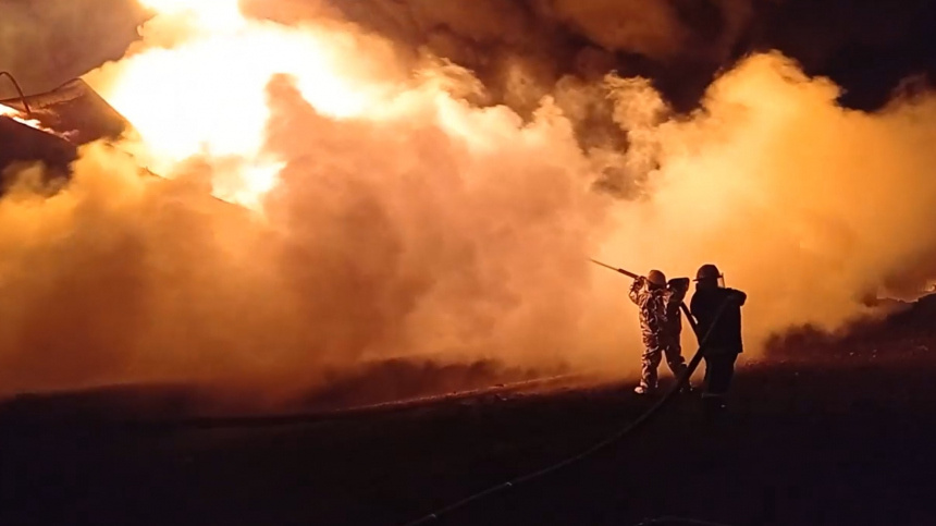    Фото: www.globallookpress.com/Cover Images; 5-tv.ru