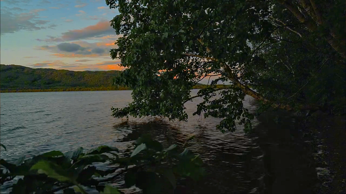 Авторское фото «Вечерние звуки у озера»