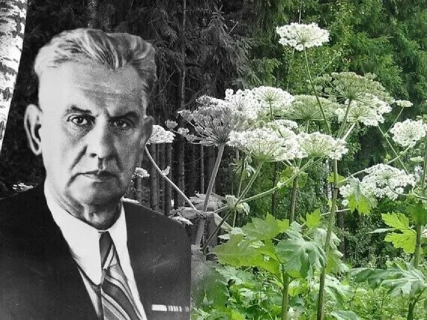 Дмитрий Иванович Сосновский был доктором биологических наук, открыл и описал около 130 видов растений