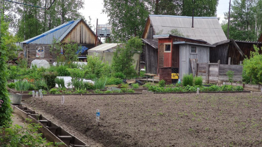    Автор фото - Анна Ефимова