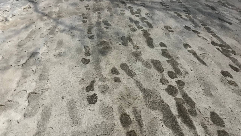    Фото из архива редакции