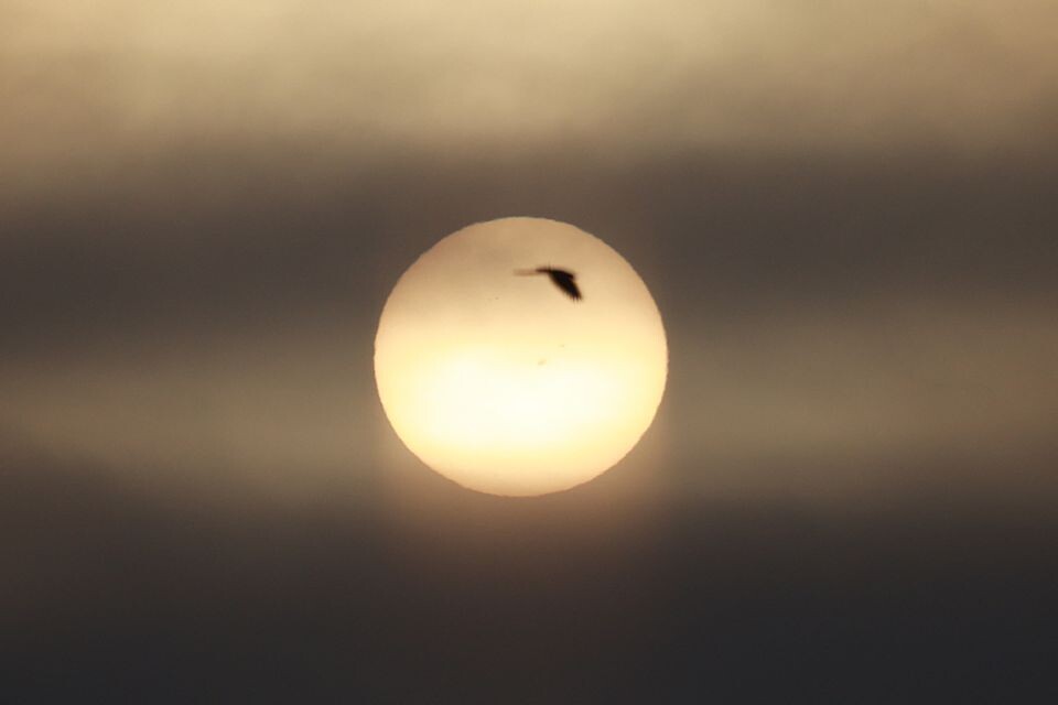    "Растущее" Солнце в небе над Барнаулом . Источник: Олег Укладов