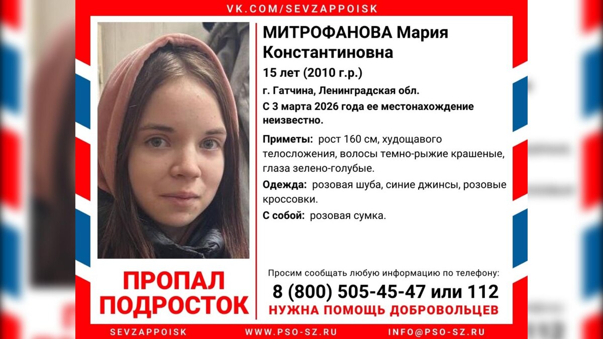    Фото: vk.com/sevzappoisk