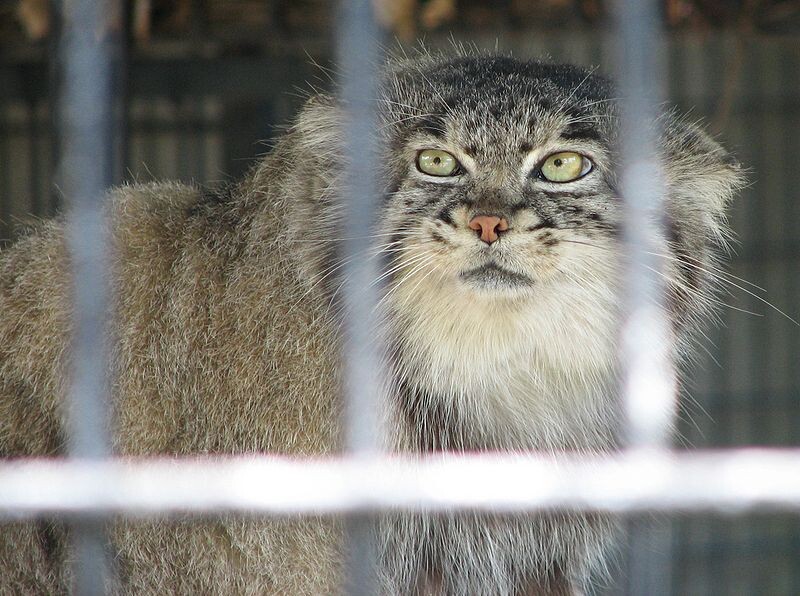     / Источник: (cc) Ltshears