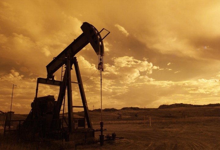 фото: pxhere.com