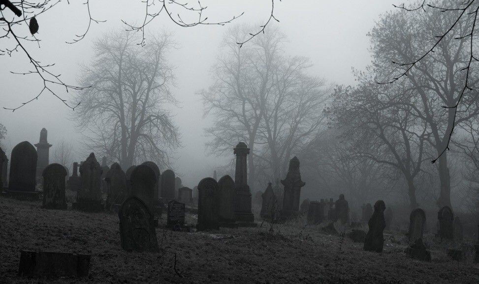 Изображение взято из открытых источников интернета. 