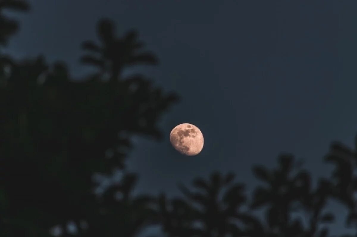    В Красноярск приходит астрономическая весна