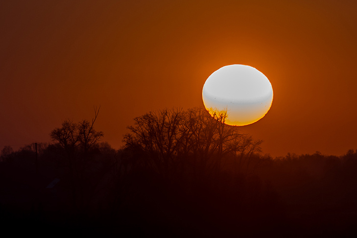    Фото Андрея Заржецкого