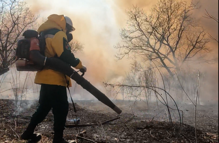    Источник фото: