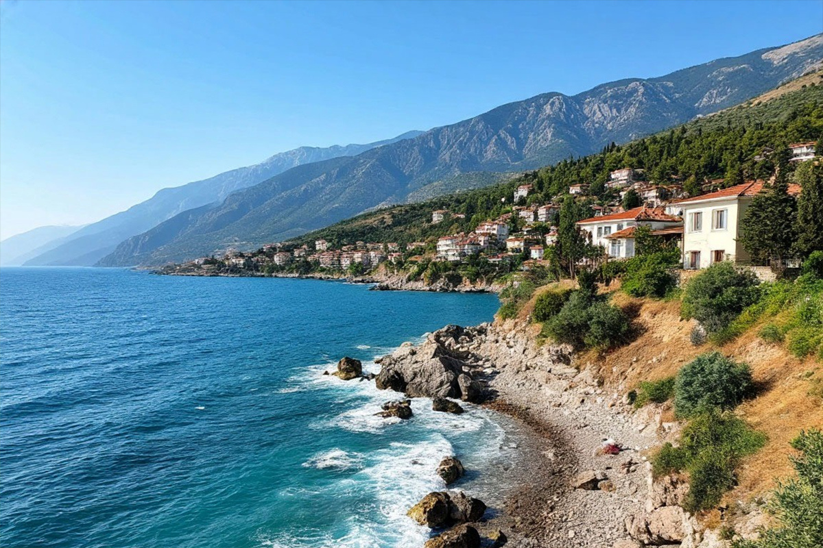    Фото: коллаж RuNews24.ru