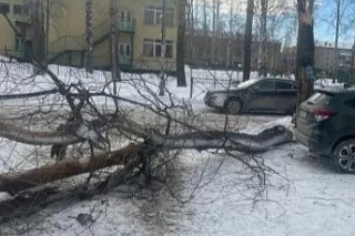    Фото: СУ СК России по НСО