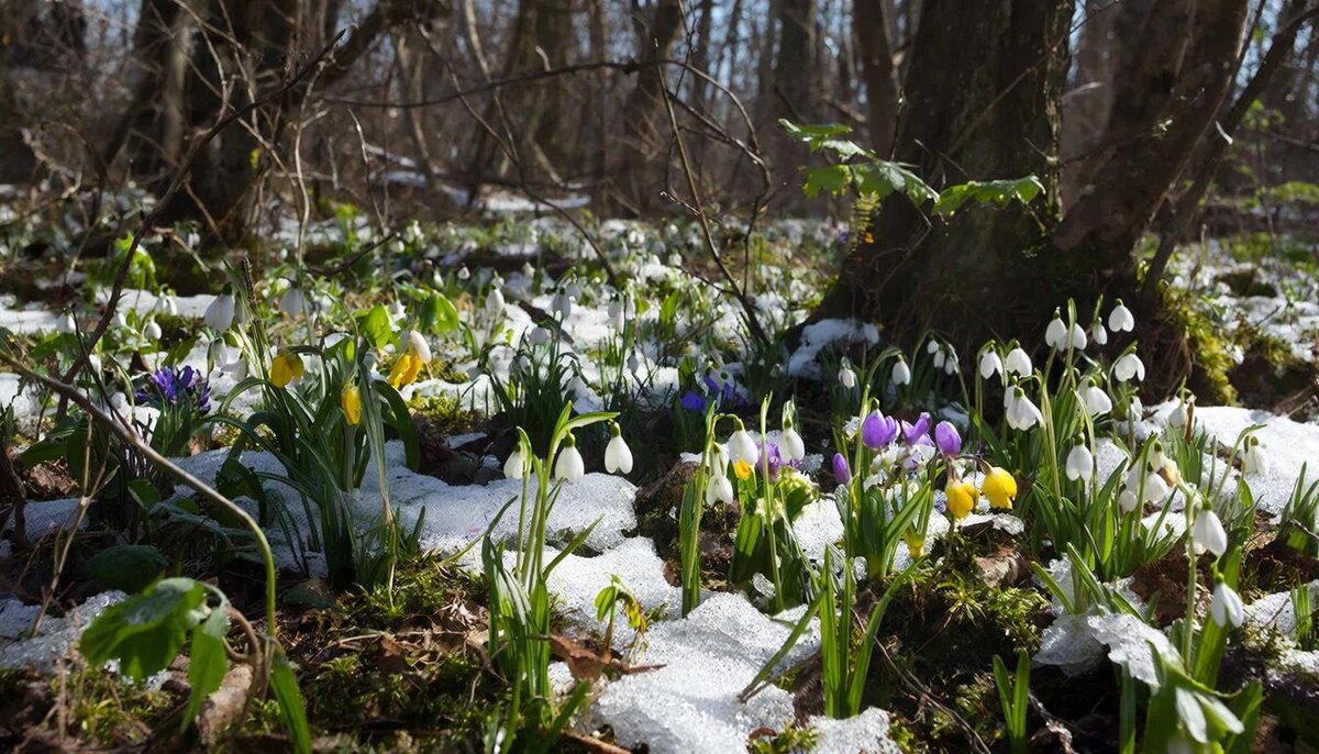 День для удовольствия  и приятного проведения времени, но с пользой, конечно.
