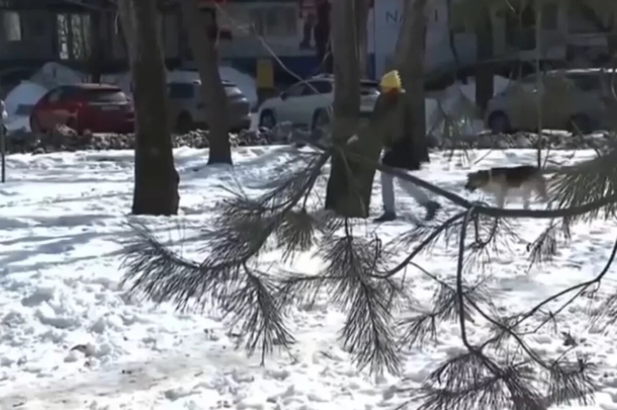    Жителей Хабаровска пригласили предложить участки для школ и детских садов
