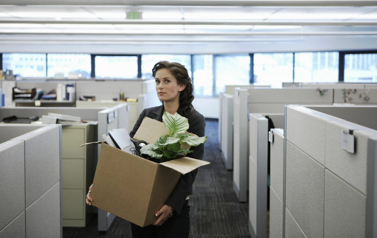 Яндекс картинки