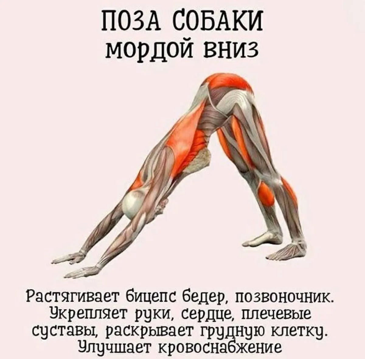 Фото из открытого источника интернета. А вы так пробовали?