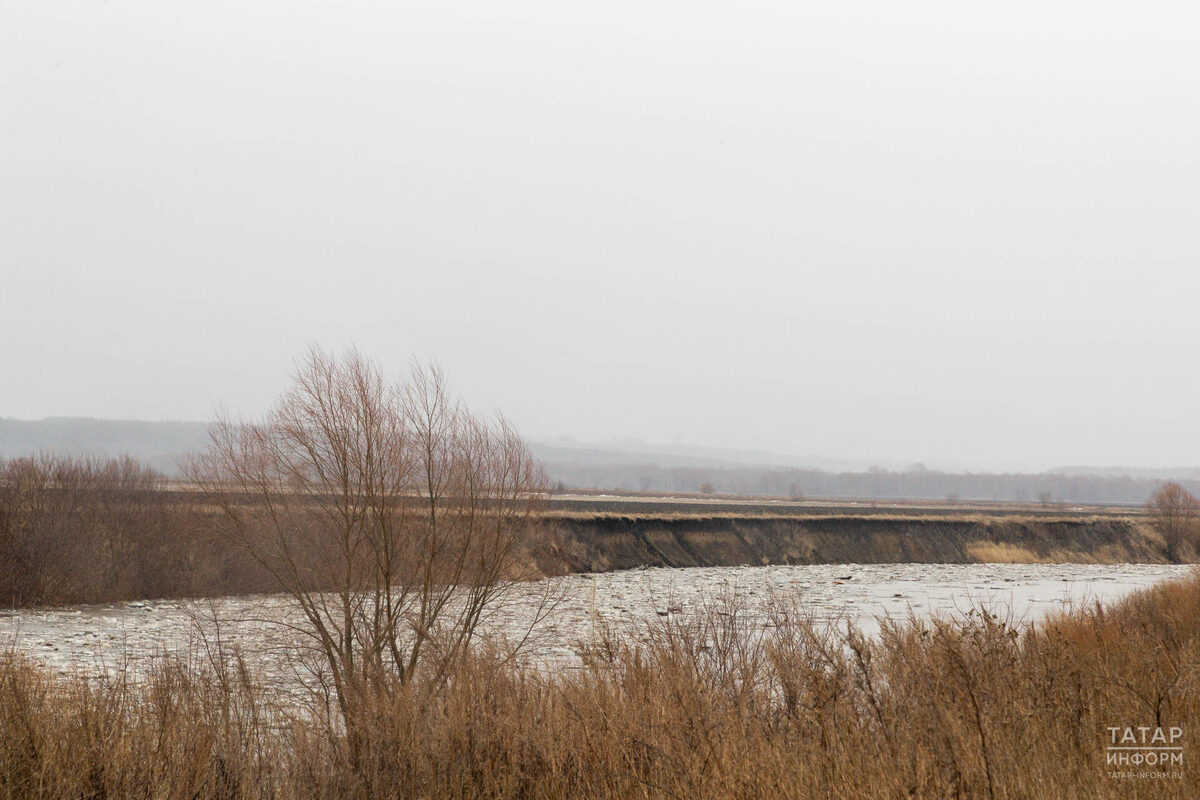 Фото: © Салават Камалетдинов / «Татар-информ»