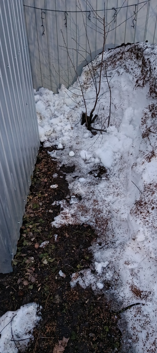 Место, где надо прокопать небольшой водоотвод