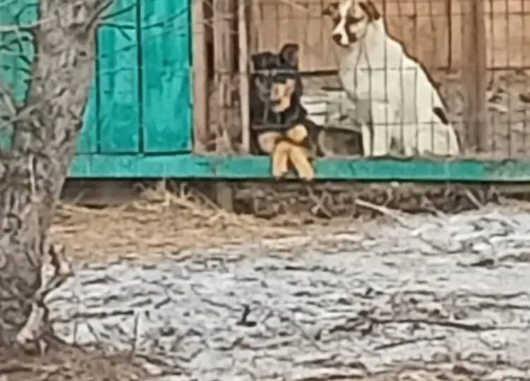 Продираться сквозь трудности всё сложнее.