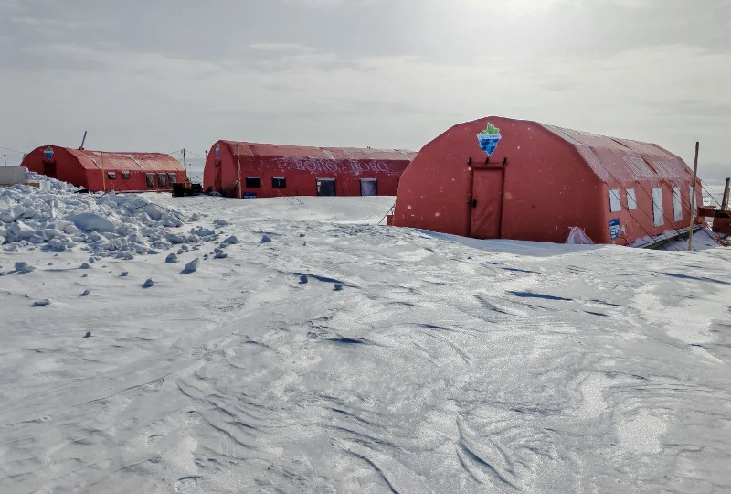 От микроскопических рачков до глубоководных бокоплавов: кто обитает в толще байкальской воды