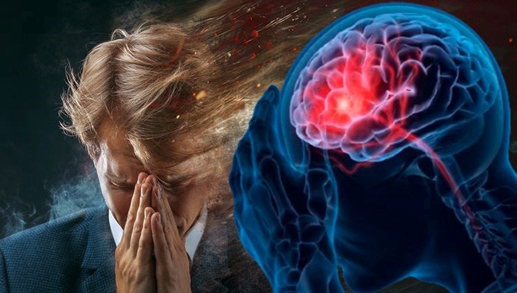 Яндекс картинки