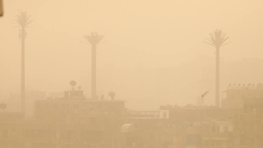    Фото: www.globallookpress.com/Ahmed Gomaa; 5-tv.ru