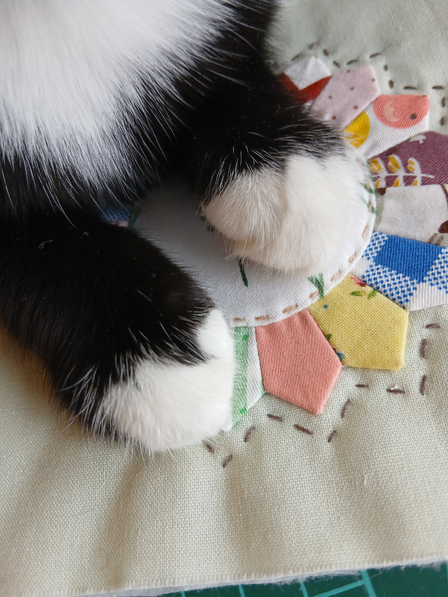 моя кошка решила что это и её любимый размер