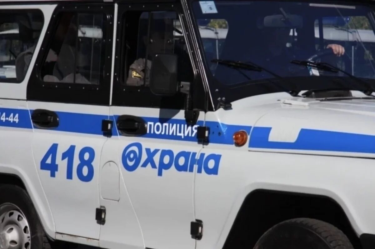    Жительница Алтайского края пойдет под суд за кровавую расправу