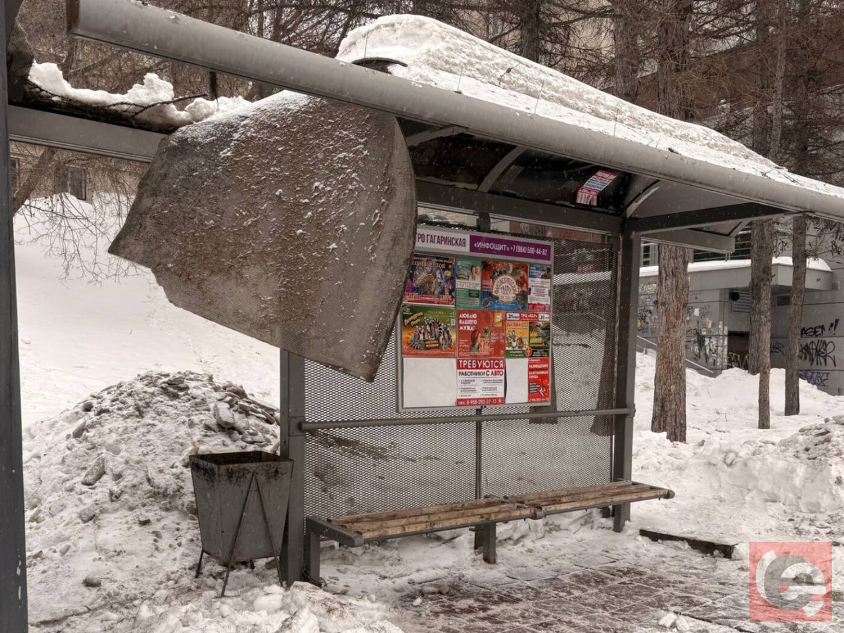    Фото: Прецедент