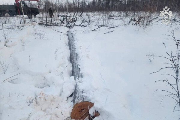 СК России по Амурской области   📷