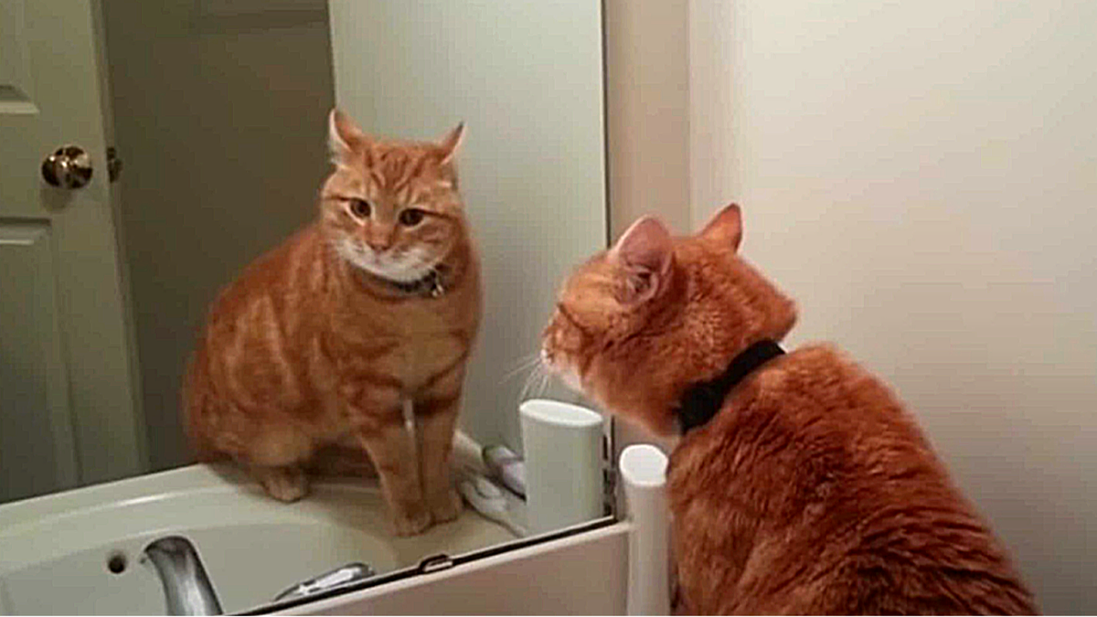 К Анфиске из пятой подкатывать даже не думай! Она - моя! 