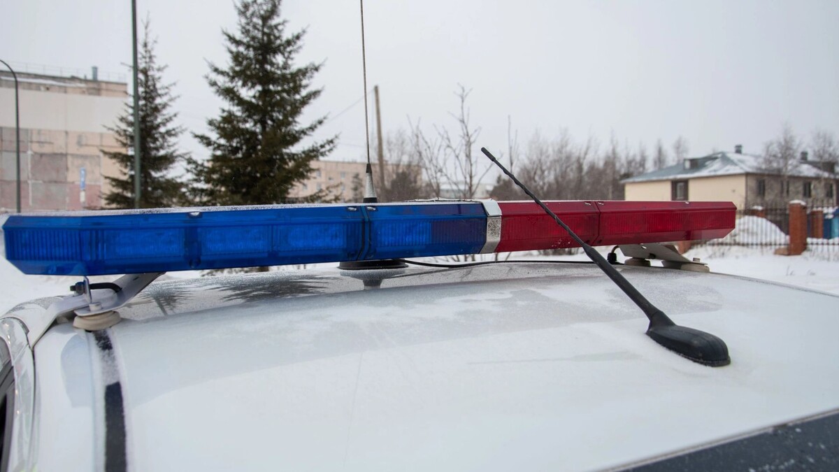    Фото: Юрий Здебский/«Ямал-Медиа»