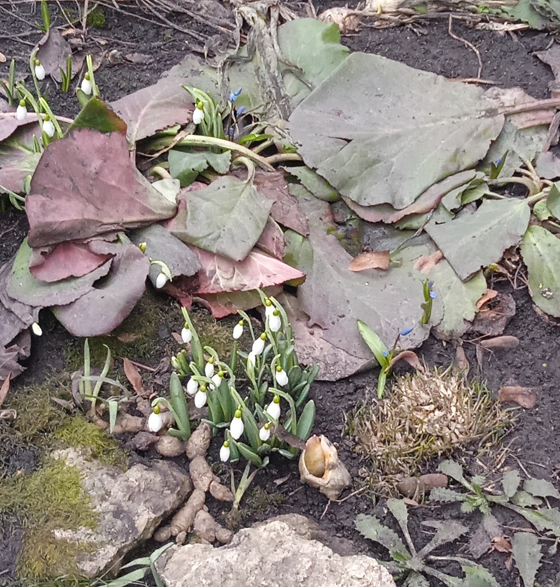 Все фото автора