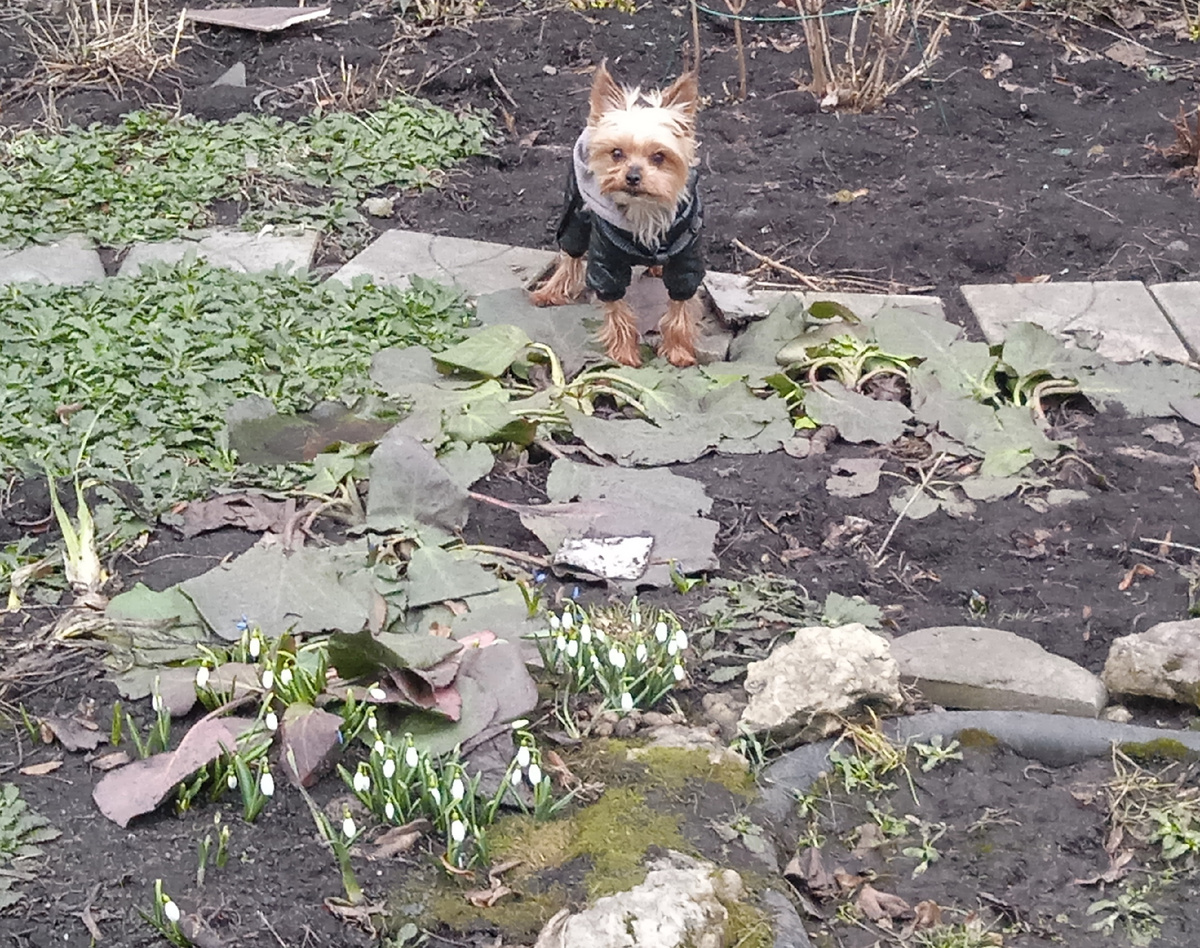 Ура! Первые цветочки 