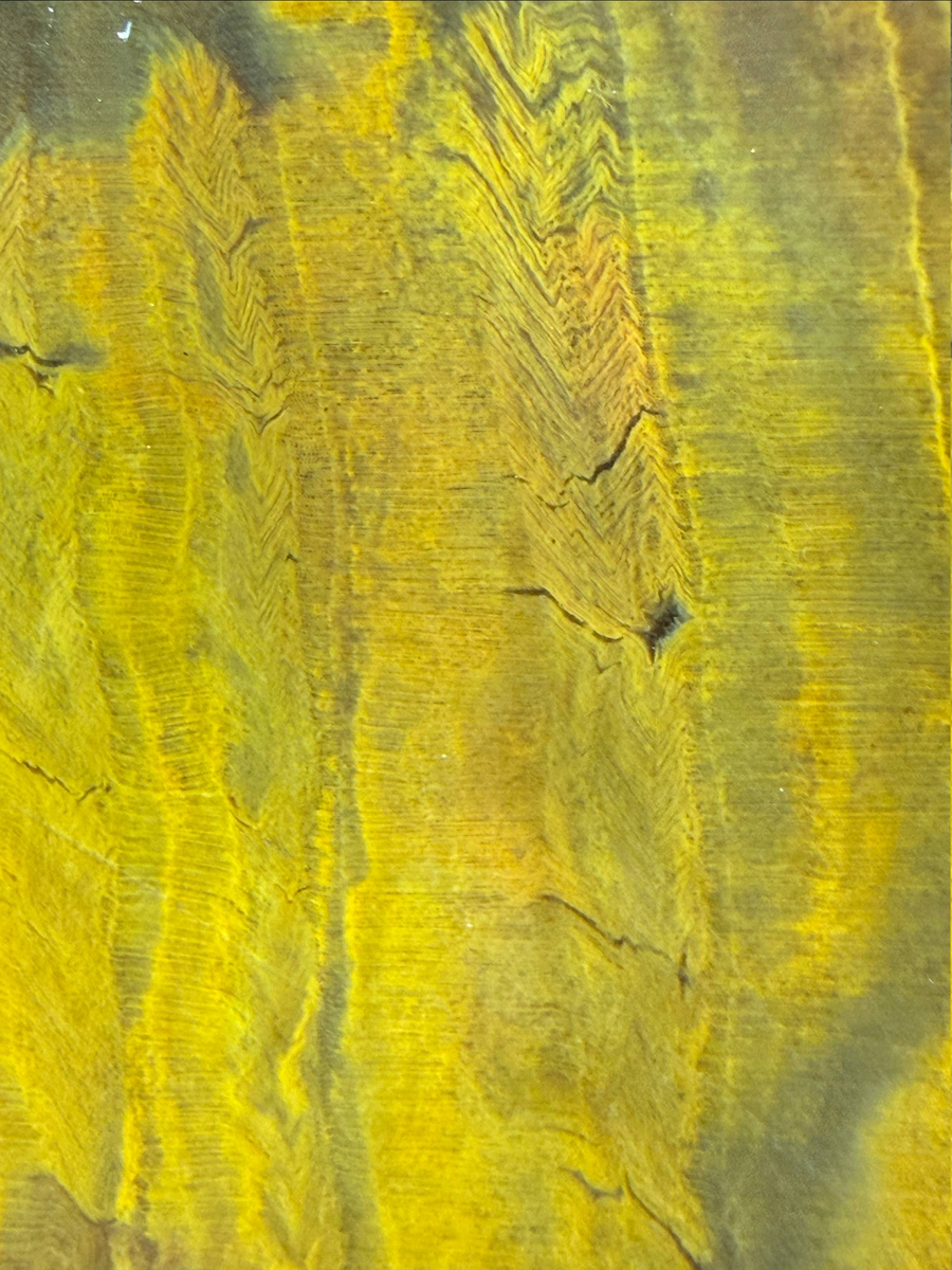 Окаменелое дерево, замещёное кремнем.