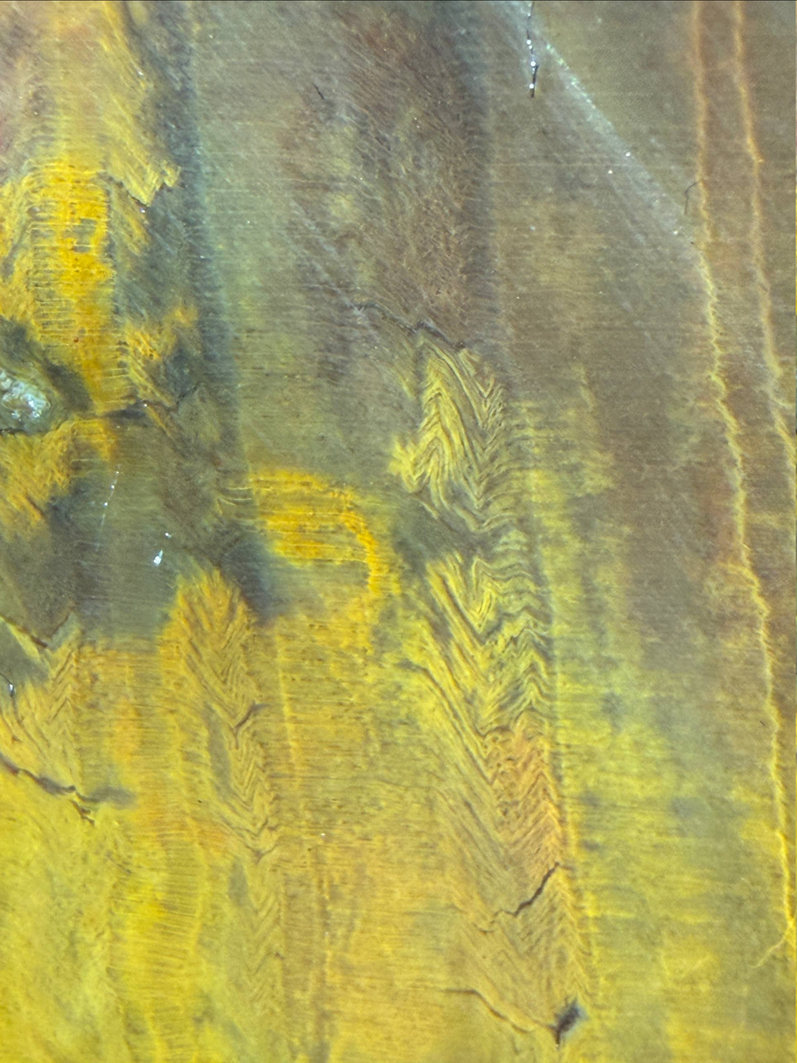 Окаменелое дерево, замещёное кремнем.