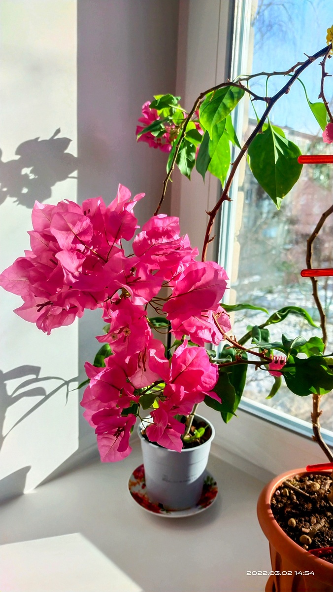 2 марта 2022 года. 