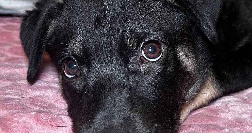 ❗ПОСТ-ШАНС❗Он умирал на промзоне