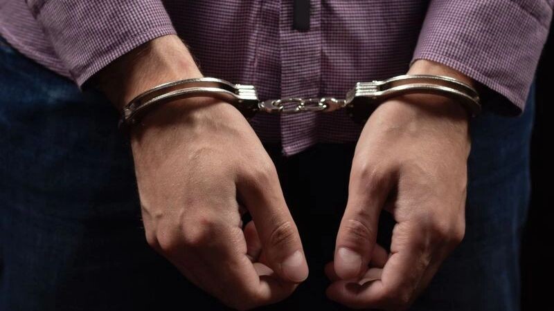    Фото: Skrypnykov Dmytro/Shutterstock/Fotodom