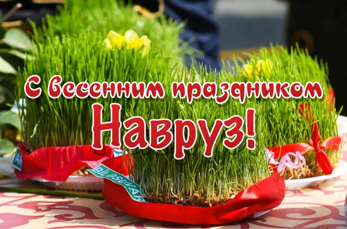 Это и другие изображения взяты из открытых источников