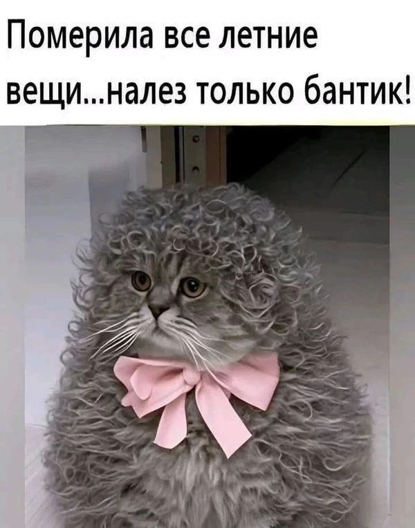 Эта картинка, тоже стимул к похудению. Взято из Лучших Открыток.