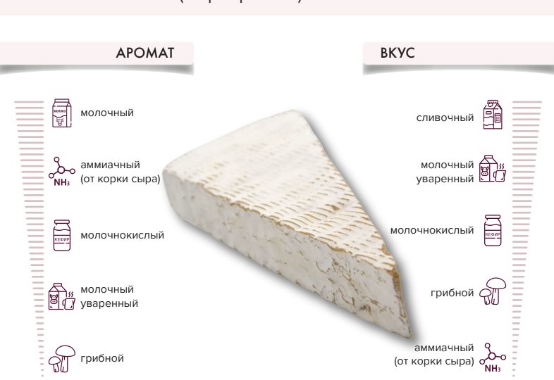 Сыр Бри на российских прилавках