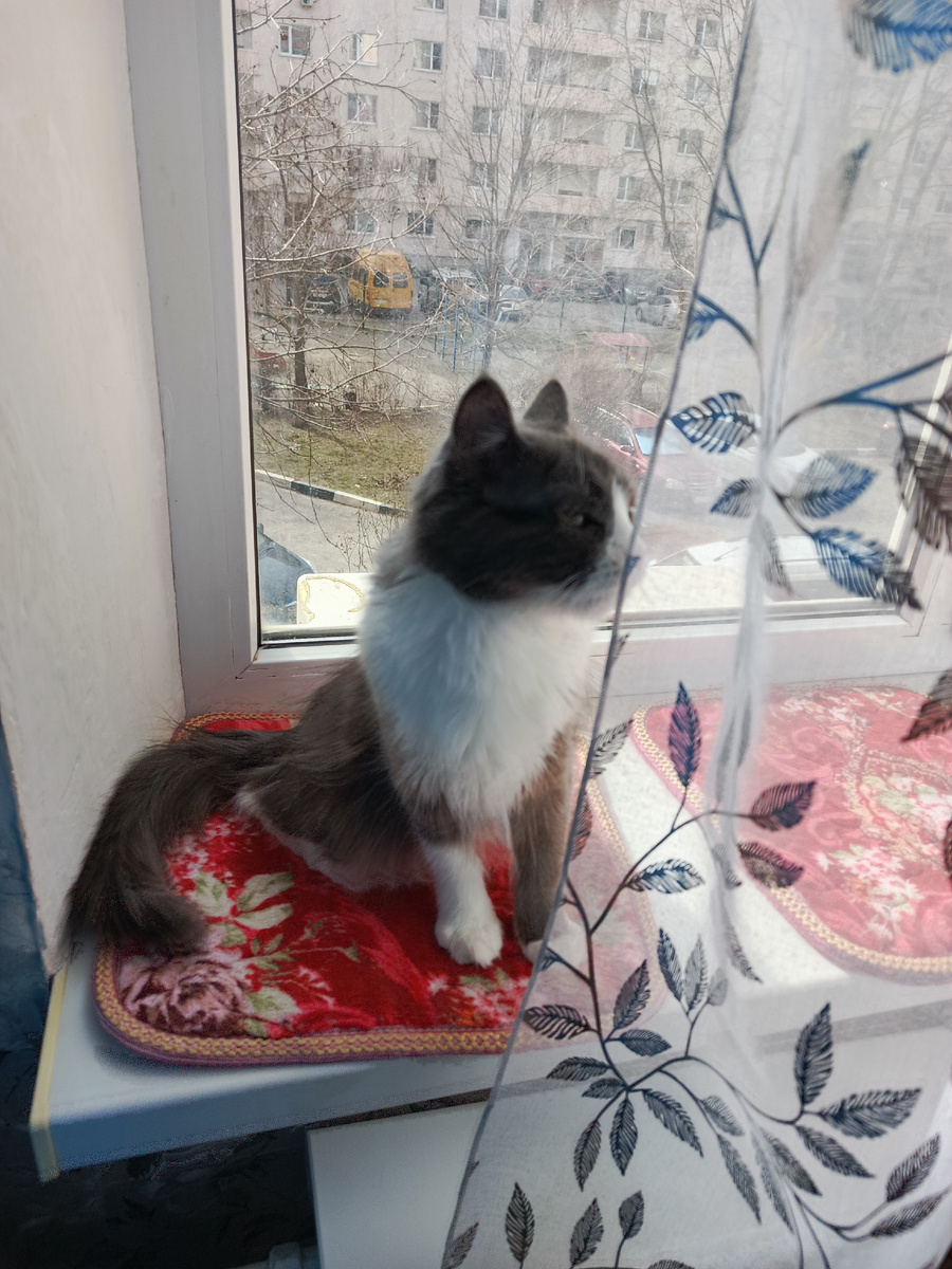 Фото автора.