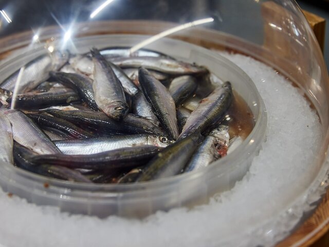    Фото: Москва 24/Максим Денисов