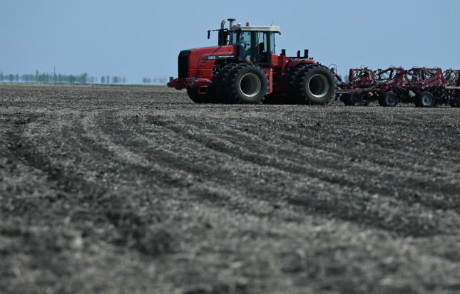  Фото: Людмила Ковалева, из архива редакции